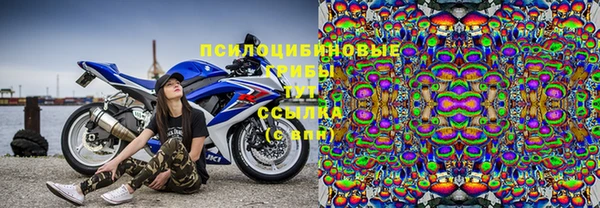 ПСИЛОЦИБИНОВЫЕ ГРИБЫ Бугульма