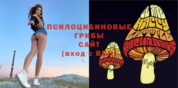 ПСИЛОЦИБИНОВЫЕ ГРИБЫ Бугульма